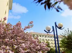青岛黄海联赛表现出色,球队备战接下来比赛(青岛黄海足球俱乐部2020赛季引援最新消息) 青岛黄海联赛表现出色,球队备战接下来比赛(青岛黄海足球俱乐部2020赛季引援最新消息)