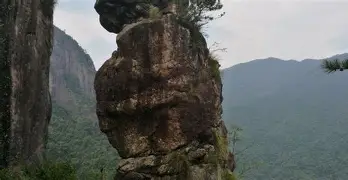 浓眉哥获得过最佳防守球员吗 浓眉哥获得过最佳防守球员吗